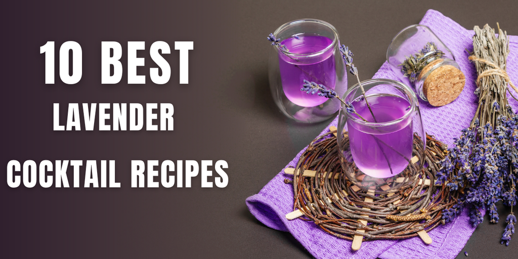 10 Best Lavender Cocktail Recipes for Your Cocktail & Beverages