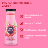 Berry Mojito Cocktail Mixer - Makes 7 drinks 210ml